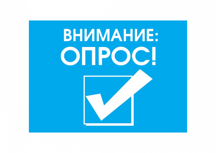 Опрос на тему: «Есть ли проблемы с безнадзорными животными в Новгородской области?».