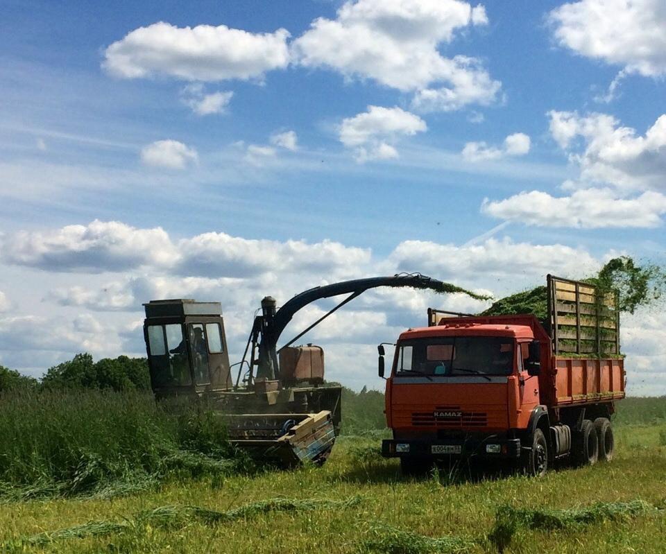 Продолжается заготовка кормов в хозяйствах муниципального района..