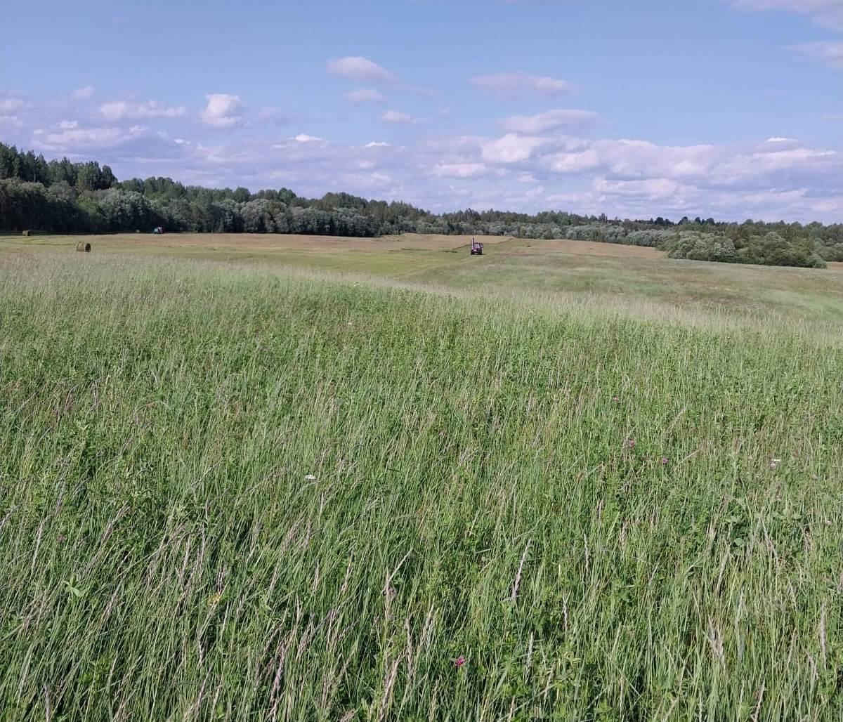  Началась заготовка кормов в хозяйствах муниципального района.