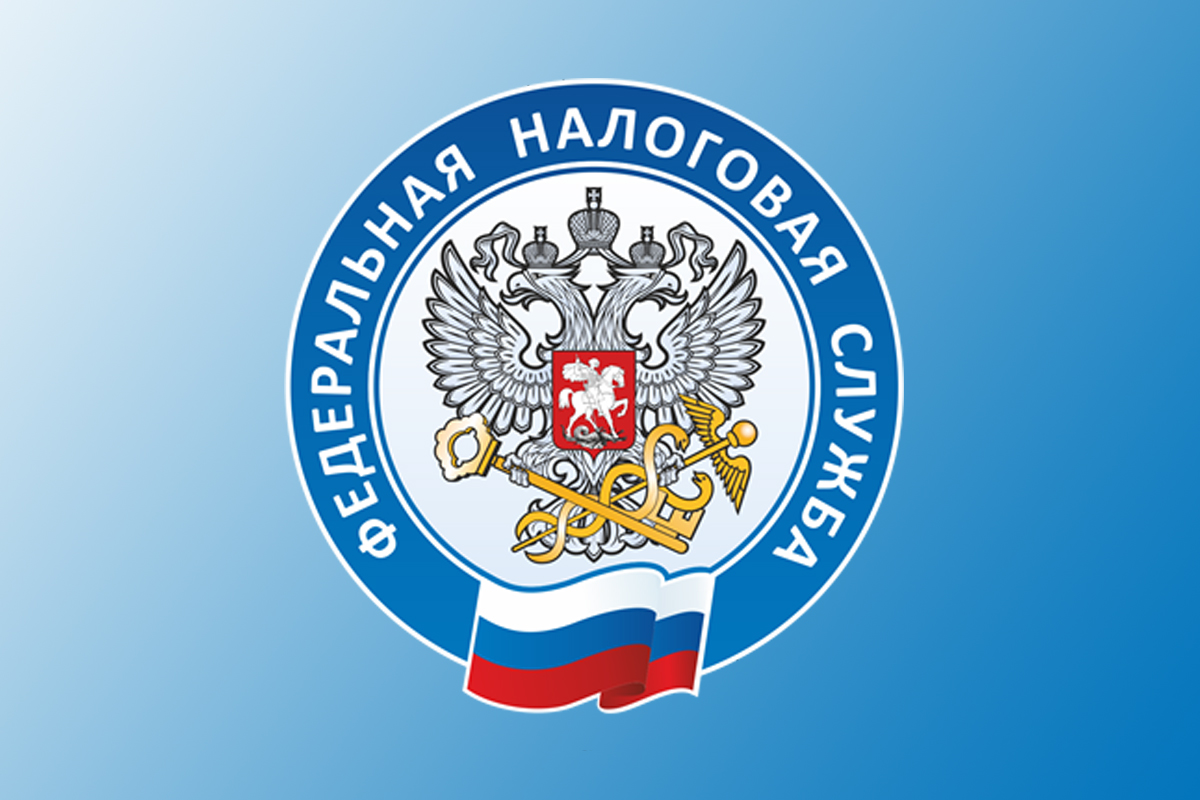 В УФНС России по Новгородской области подведены итоги контрольной работы  за 1 квартал 2025 года.