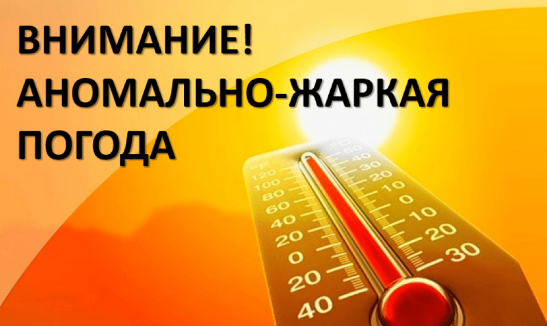 В период с 27 по 29 июня местами по Новгородской области ожидается повышение температуры воздуха днем до 30-33 гр..